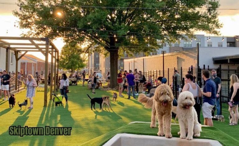 Skiptown Denver